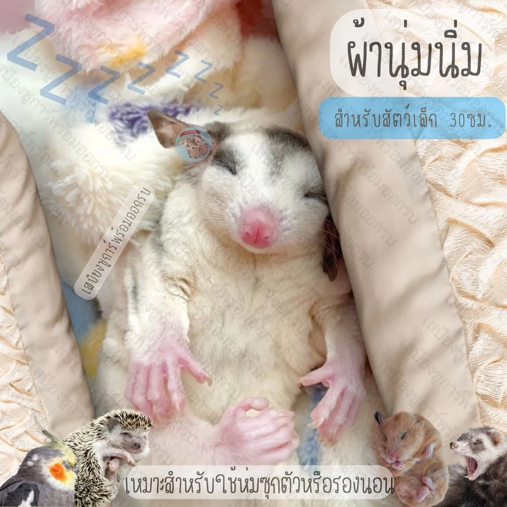 V ( ผ้านุ่มนิ่ม) LIMITED ผ้าสัตว์เลี้ยง ผ้าชูการ์ ผ่านุ่ม คละสีคละลาย