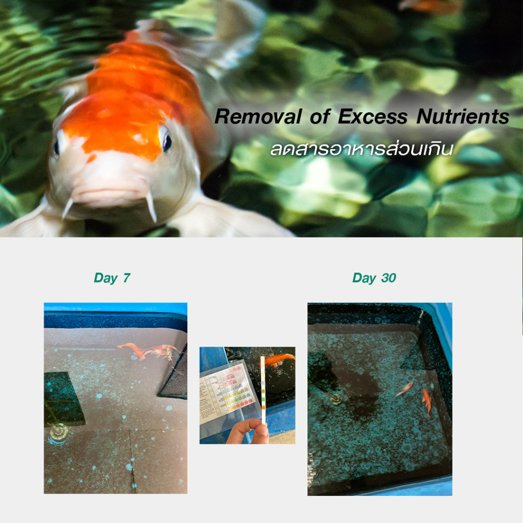 รูปภาพ 7