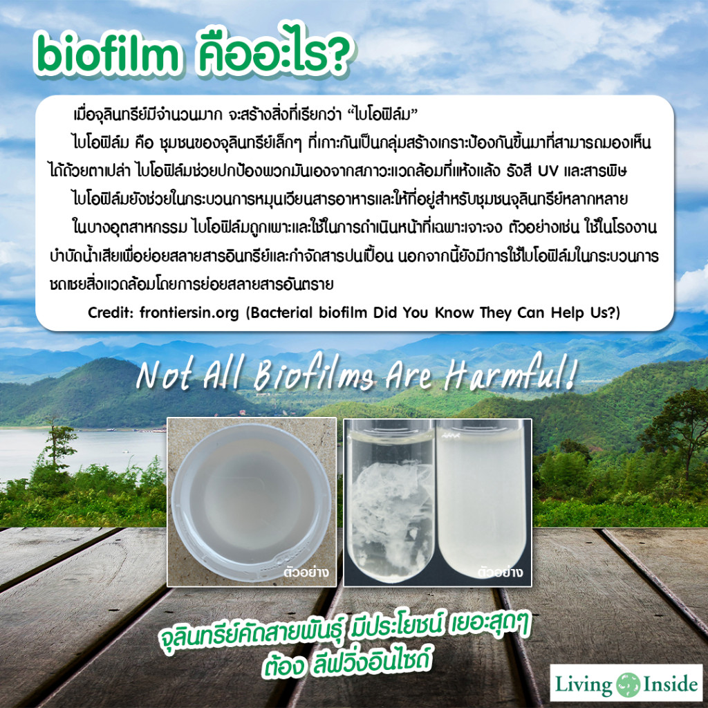 รูปภาพ 9