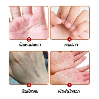 ครีมทามือและเท้า Horse Oil vaseliness 100g น้ำมันบำรุงผิวพรรณ ครีมทามือตราม้า ลดรอยแตกของมือแห้ง