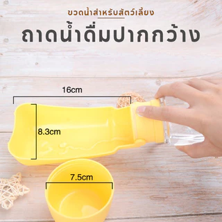 กระบอกน้ำพกพา ขวดน้ำสัตว์เลี้ยง พื้นที่ดื่มกว้าง ป้องกันการรั่วซึม พับได้พร กระบอกน้ำสุนัข