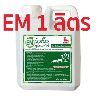 อีเอ็มกำจัดกลิ่น หมักปุ๋ย หัวเชื้อจุลินทรีย์ EMขนาด1 ลิตร ดับกลิ่นส้วม บำรุงพืชผัก ดับกลิ่นท่อน้ำ บำบัดน้ำ ใช้ย่อยสลาย