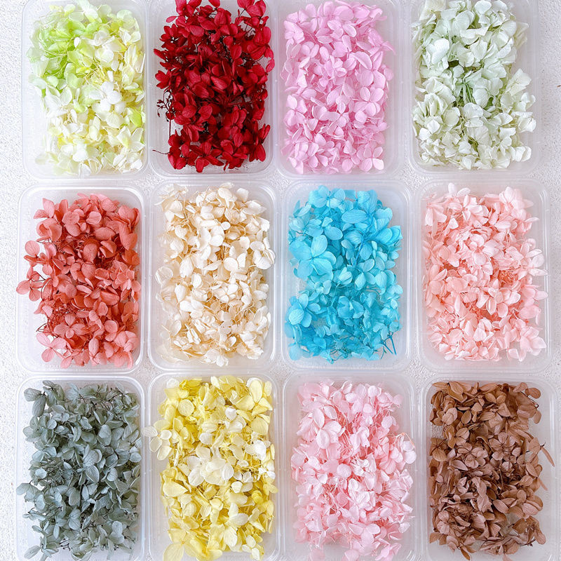 ดอกไม้ไฮเดรนเยียปลอม ดอกไม้แห้ง DIY สําหรับรองเท้าแต่งงาน หน้ากากแก้ว ภาชนะดอกไม้ กิจกรรมทีม วันเกิดวันเทพธิดา แพ็ค 5 กรัม XYSS