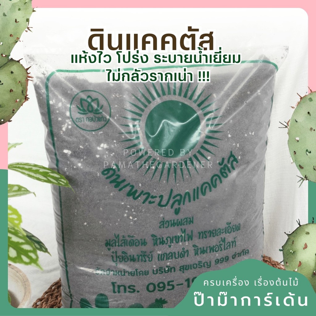 มุมมอง 5