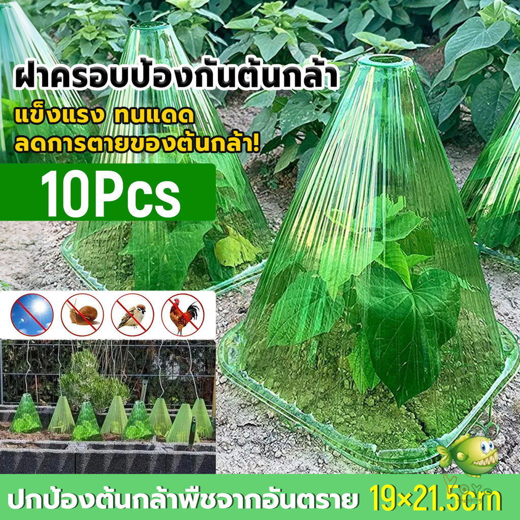YOYO ฝาครอบป้องกันต้นกล้า แบบโปร่งแสง ชุด 10 ชิ้น ทนแดด กันแมลง นำกลับมาใช้ใหม่ได้ สำหรับปลูกต้นกล้า Plant cover