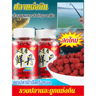 เหยื่อปลาทะเลโปรตีนจากสัตว์สำหรับผู้ใหญ่ตลอดทั้งปี สำหรับผู้ที่ชื่นชอบการตกปลาและมือใหม่ มีประสิทธิภาพสูงในการดึงดูดปลา