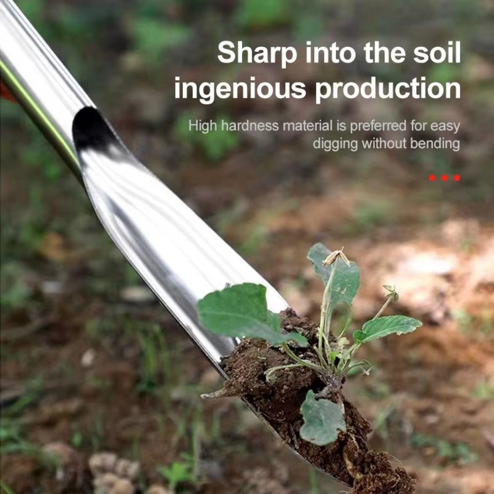 การปลูกพืช พลั่วขนาดเล็ก, ชุดเครื่องมือทําสวนที่ทนทานแบบพกพา, สแตนเลสมัลติฟังก์ชั่กระถาง ผู้ปลูกถ่ายทอด จับคราดผักในครัวเรื - รูปที่ 7