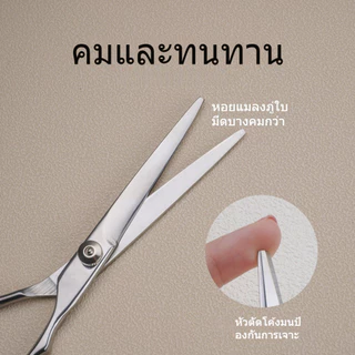 【NEW】ชุดกรรไกรตัดผม ซอยผม สำหรับมืออาชีพ ใบมีดคม แข็งแรง ทนทานกรรไกรซอยผมอย่างดี ขนาด 6.5 นิ้ว ​กรรไกรตัดผม สแตนเลสแบบฟั