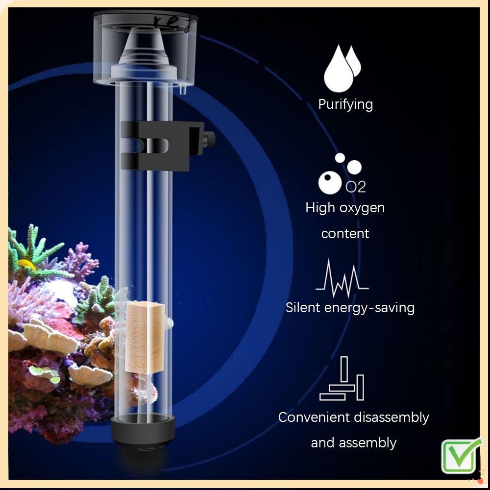 REFINEMENT Aquarium Filter,เย็น/ทนความร้อน Borosilicate Glass Fish Protein Skimmer,ปฏิบัติดูผลิตฟองแ