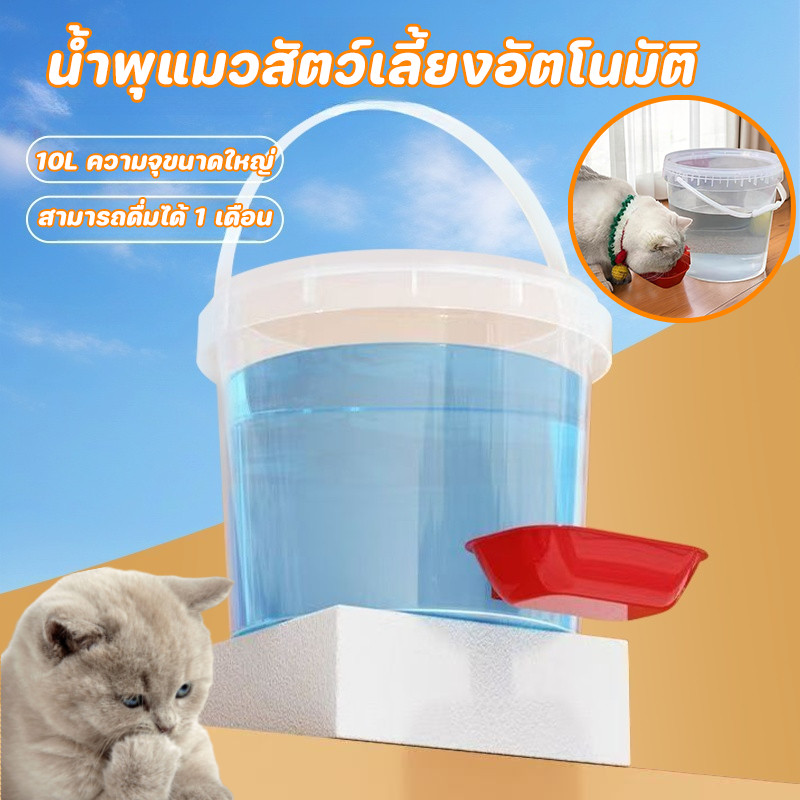 น้ำพุแมวสัตว์เลี้ยงอัตโนมัติ 10L ถังดื่มสัตว์เลี้ยง น้ำพุแมว แบบใส เงียบมาก ที่ให้น้ำอัตโนมัติ