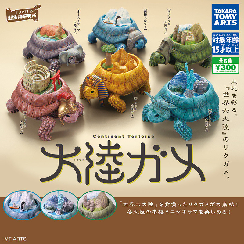 ของเล่น vivi ในสต็อก เต่าแผ่นดิน TTA ญี่ปุ่น Gacha สารานุกรมชีวภาพ เต่ายูเรเซียน ฟิกเกอร์ 250516   บีอาร์ซีไอ