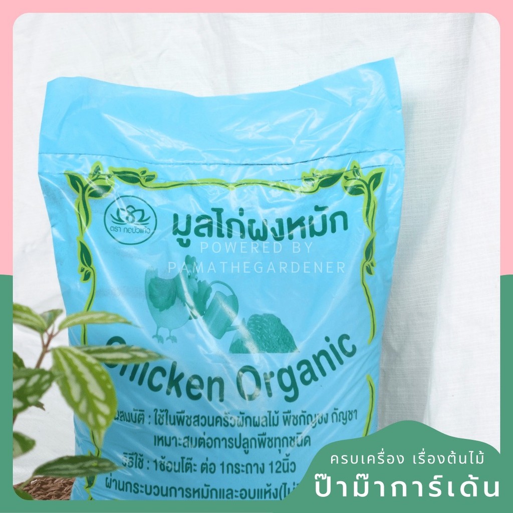 มุมมอง 3