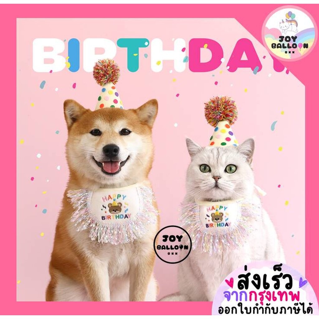 หมวกวันเกิดน้องแมว HBD พร้อบถ่ายรูปแมว หมา สัตว์เลี้ยง พร้อบถ่ายรูปวันเกิด Happy Birthday Party (ส่ง