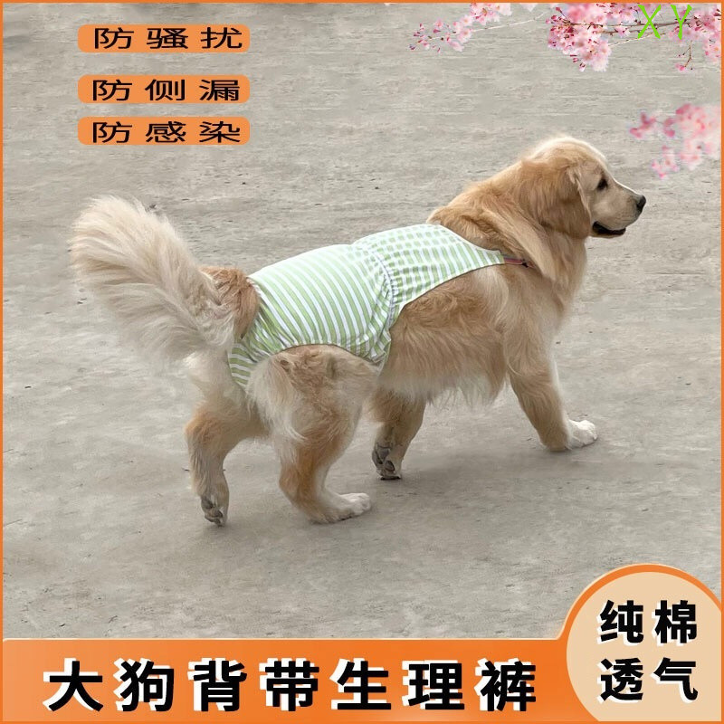 Big Dog Bitch Safety Pants ประจําเดือน Anti-Harassment กางเกงอนามัย
