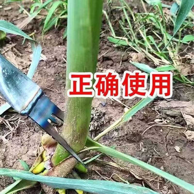 เครื่องมือขว้างข้าวโพดทางการเกษตร อุปกรณ์กำจัดต้นกล้าและขุดมันเทศ thumbnail 8