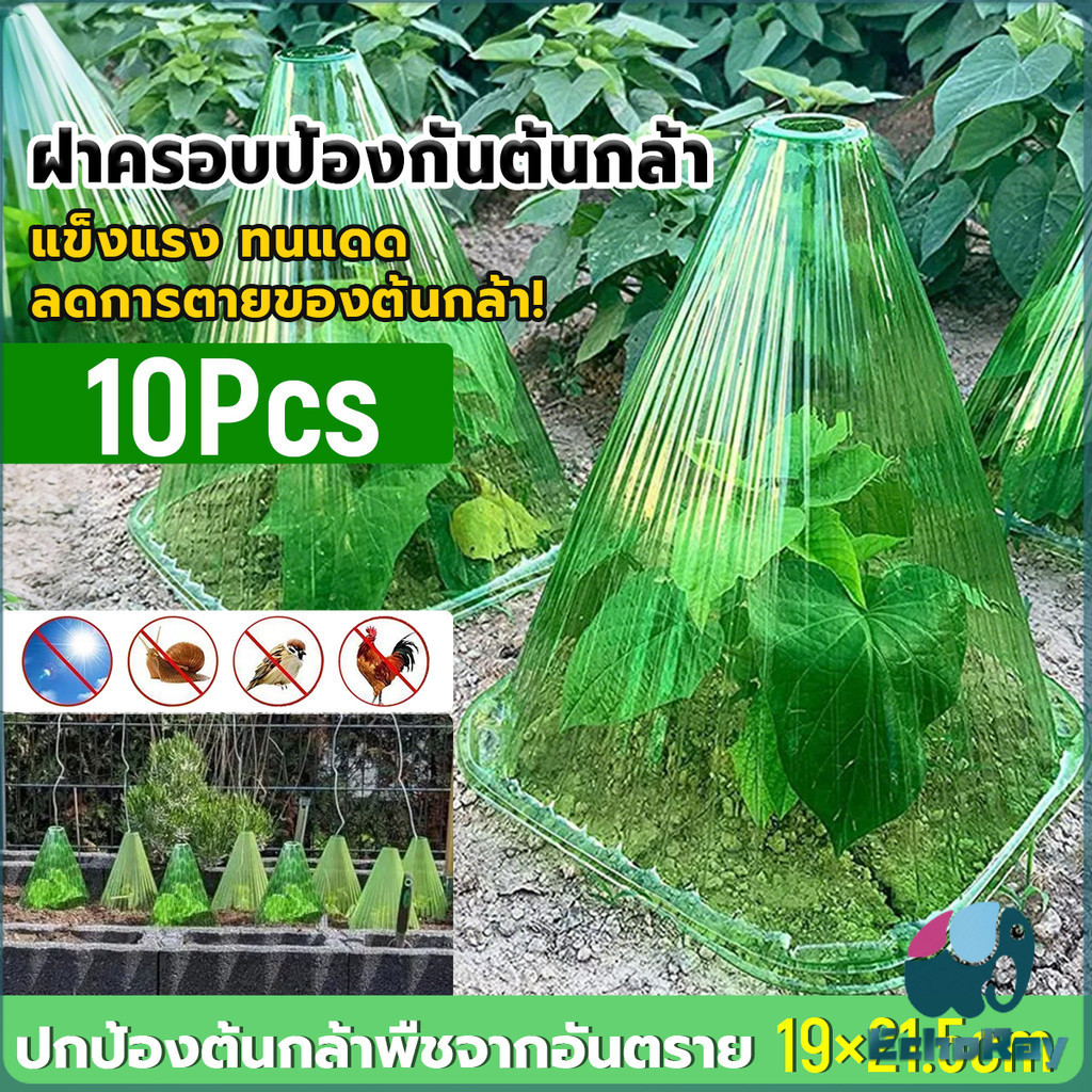 E.R ฝาครอบป้องกันต้นกล้า แบบโปร่งแสง ชุด 10 ชิ้น ทนแดด กันแมลง นำกลับมาใช้ใหม่ได้ สำหรับปลูกต้นกล้า Plant cover