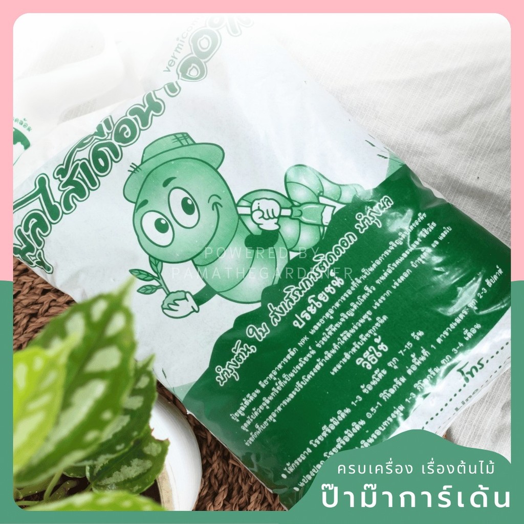 มุมมอง 4