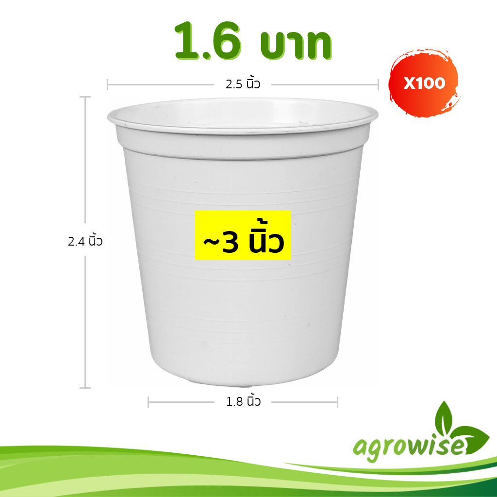 กระถาง กระถางต้นไม้ จานรองกระถางต้นไม้ 2 2.5 นิ้ว สีขาว ยกมัด 50 100 ใบ