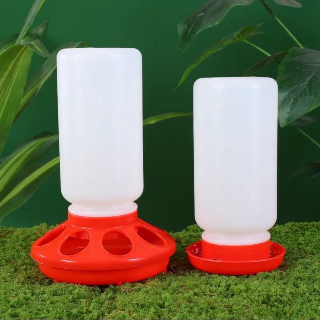 Rutin ชุดป้อนไก่ Rutin ขวดน้ําไก่นกกระทา Feeder ขวดน้ํานกกระทา Chick Feeder