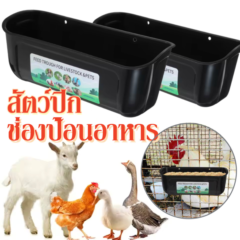 ความจุขนาดใหญ่ ไก่เป็ดกูเป็ดวัวแกะช่องป้อนอาหาร ถังให้อาหารไก่อัตโนมัติ ใส่อาหาร ใส่น้ำ ถอดล้างได้ ที่ให้น้ำไก่อัตโนมัติ