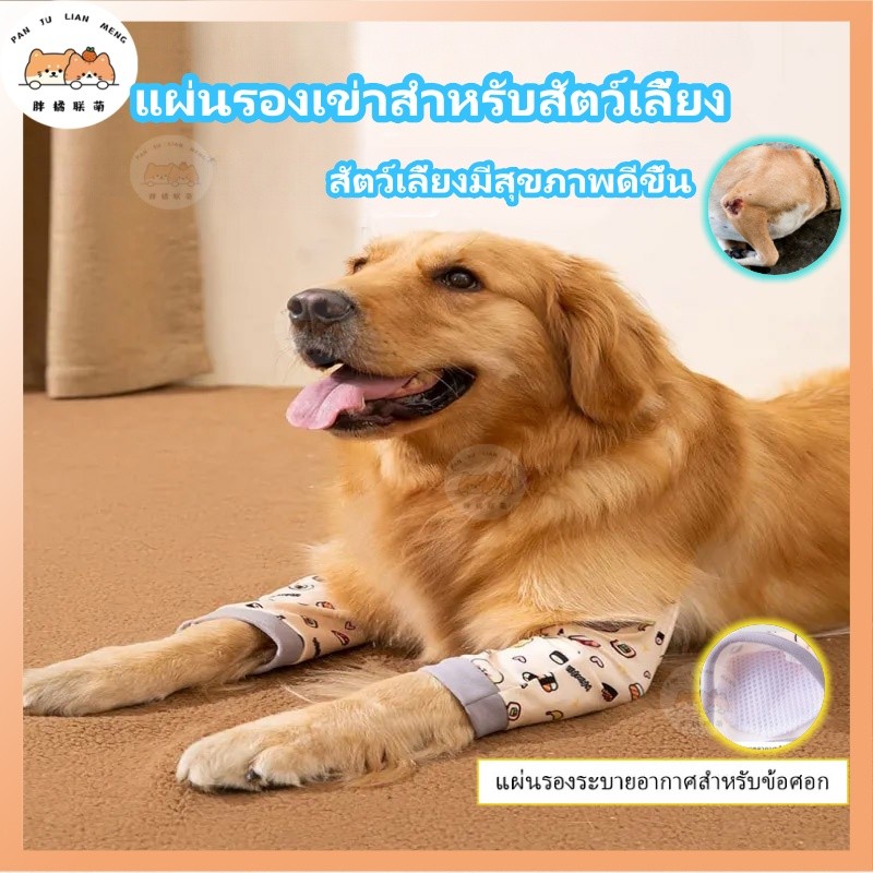 【รุ่นลิมิเต็ด🐶】 เฝือกสุนัขขนาดกลางและขนาดใหญ่ ระบายอากาศได้ ปลอกขาข้อสุนัข สวมสบาย
