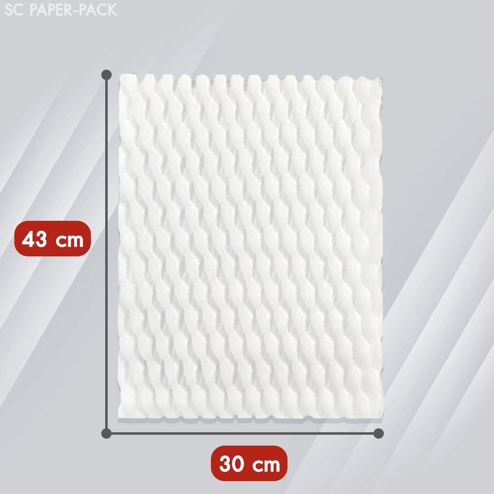 ตาข่ายโฟมแบบแผ่นสีขาว 30X43CM (แพ็ค 20)