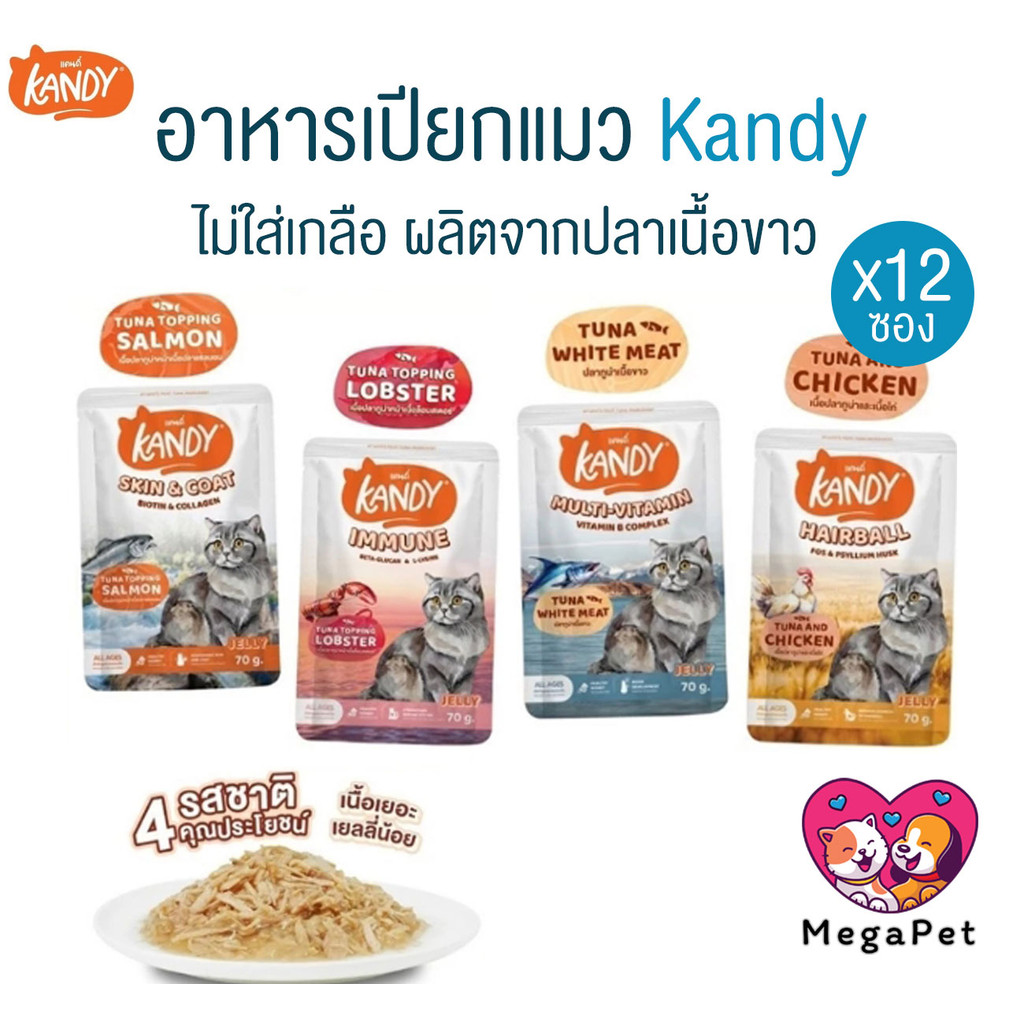 [ ยกโหล 12ซอง ] Kandy แคนดี้ อาหารเปียกแมว ไม่เติมเกลือ ผลิตจากปลาเนื้อขาวเน้นๆ ขนาด 70 กรัม