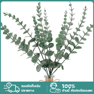 YTL ใบยูคาลิปตัส พร็อพถ่ายรูป แต่งห้อง ขนาดใหญ่ใบสวย มี2ขนาด