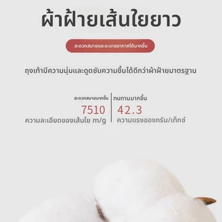 ถุงเท้าห้านิ้วผู้หญิงฤดูร้อนสไตล์บางผ้าฝ้ายแท้ต้านเชื้อแบคทีเรียป้องกันเท้าตาข่ายอากาศระบายอากาศไม่มีกระดูกหลอดสั้นนิ้วเท้า