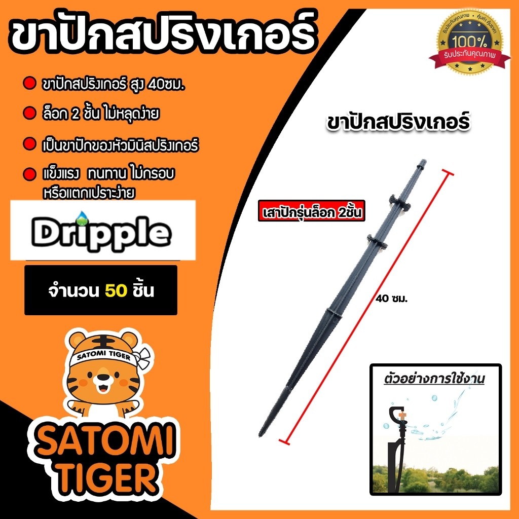 Dripple ขาปักมินิสปริงเกอร์ จำนวน 50 ชิ้น สูง 40cm. เสาปักรุ่นล็อค 2 ชั้น ไม่หลุดง่าย