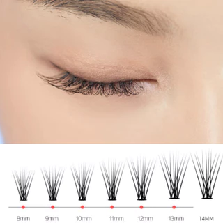 ขนตาปลอมแบบช่อ ต่อขนตา พรีเมด พัดปริมาณ 10D 20D ขนตาปลอม C curl เครื่องมือแต่งหน้าขนตาปลอม ขนตาเท็จธรรมชาติ 20d