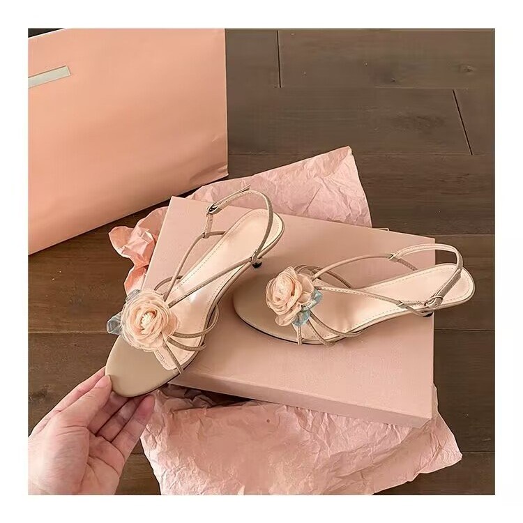 รูปภาพ 5