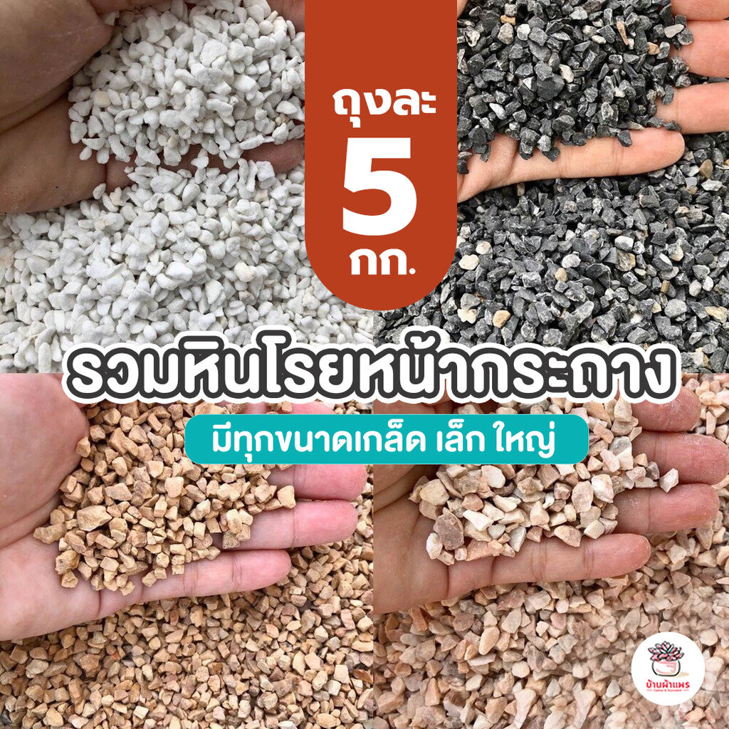 [ 5 กก. ] รวมหินโรยหน้ากระถาง แคคตัส กระบองเพชร ไม้อวบน้ำ