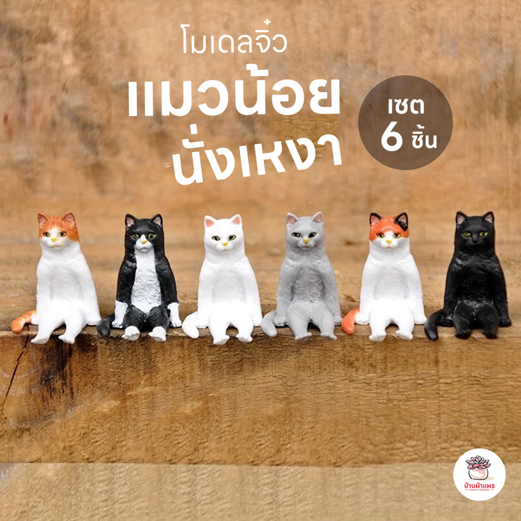 แมวน้อยนั่งเหงา [ เซต 6 ชิ้น ] ตุ๊กตาจิ๋ว โมเดลจิ๋ว แต่งสวน