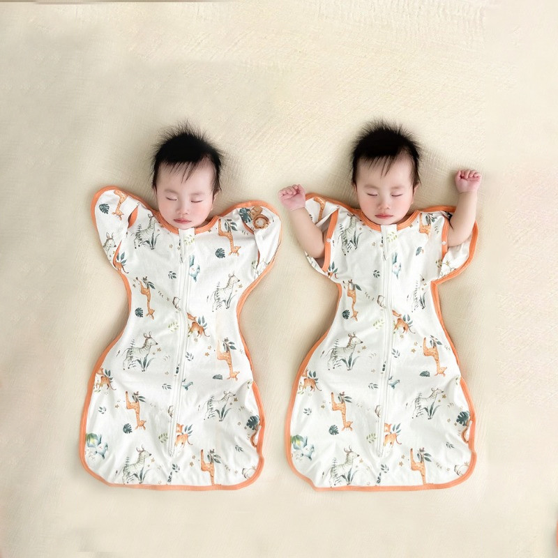 รูปภาพ 6