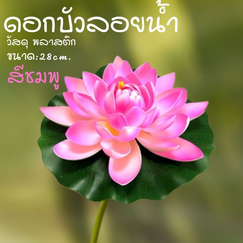 ดอกบัวลอยน้ำ 28 ซม เสริมฮวงจุ้ย  ตกแต่งรูป สวน สระ บ่อน้ำ - รูปที่ 3