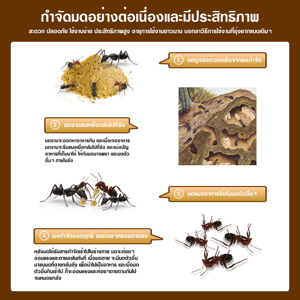 กำจัดมด ยาฆ่ามด ฆ่าตายยกลัง ฆ่ามดได้ทุกสายพันธุ์ ปลอดภัยต่อคน เหยื่อมด เหยื่อกำจัดมด ไล่มด ฆ่ามด กำจัดแมลง Ant Bait - รูปที่ 5