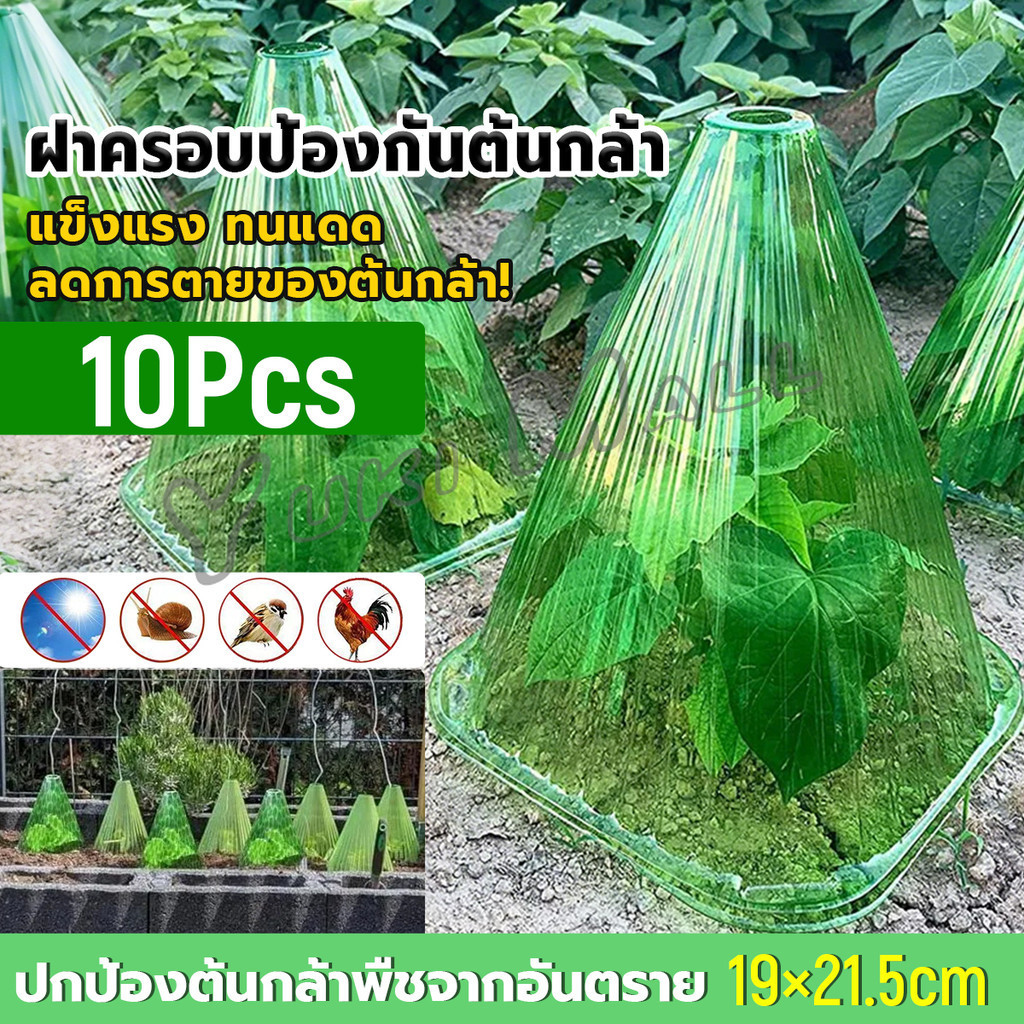 Yuki ฝาครอบป้องกันต้นกล้า แบบโปร่งแสง ชุด 10 ชิ้น ทนแดด กันแมลง นำกลับมาใช้ใหม่ได้ สำหรับปลูกต้นกล้า Plant cover