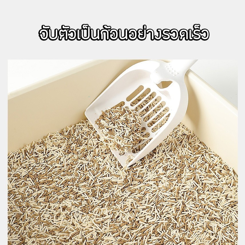 รูปภาพ 6