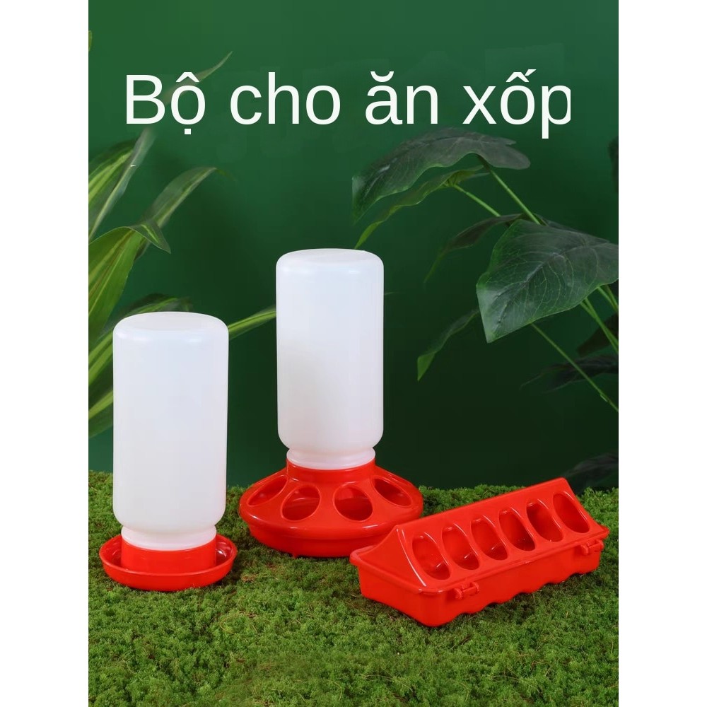 Rutin เครื่องป้อนไก่ Rutin ขวดน้ําไก่ Chick Feeder ขวดน้ําไก่ Feeder ขวดดื่มไก่นกกระทา Trough