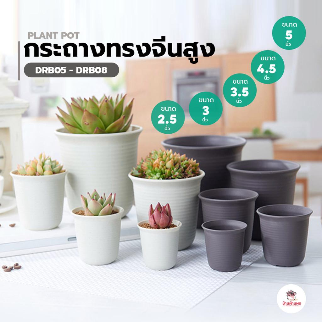 กระถางทรงจีนสูง 2.5 - 5 นิ้ว #DRB01 - #DRB045 กระถางพลาสติก แคคตัส กระบองเพชร ไม้อวบน้ำ Cactus&Succulent