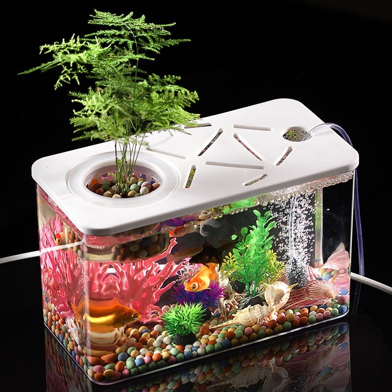 Basic SetAccry ถังปลา Bell Fish Tank Special Small PlFish Pad Pad Pad Japanese Japanese Japanese Jap