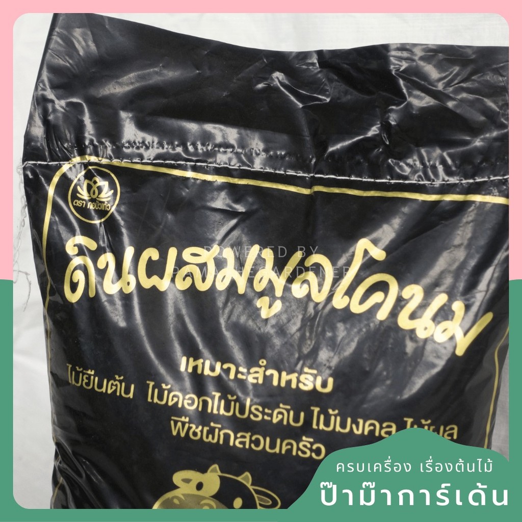 มุมมอง 2