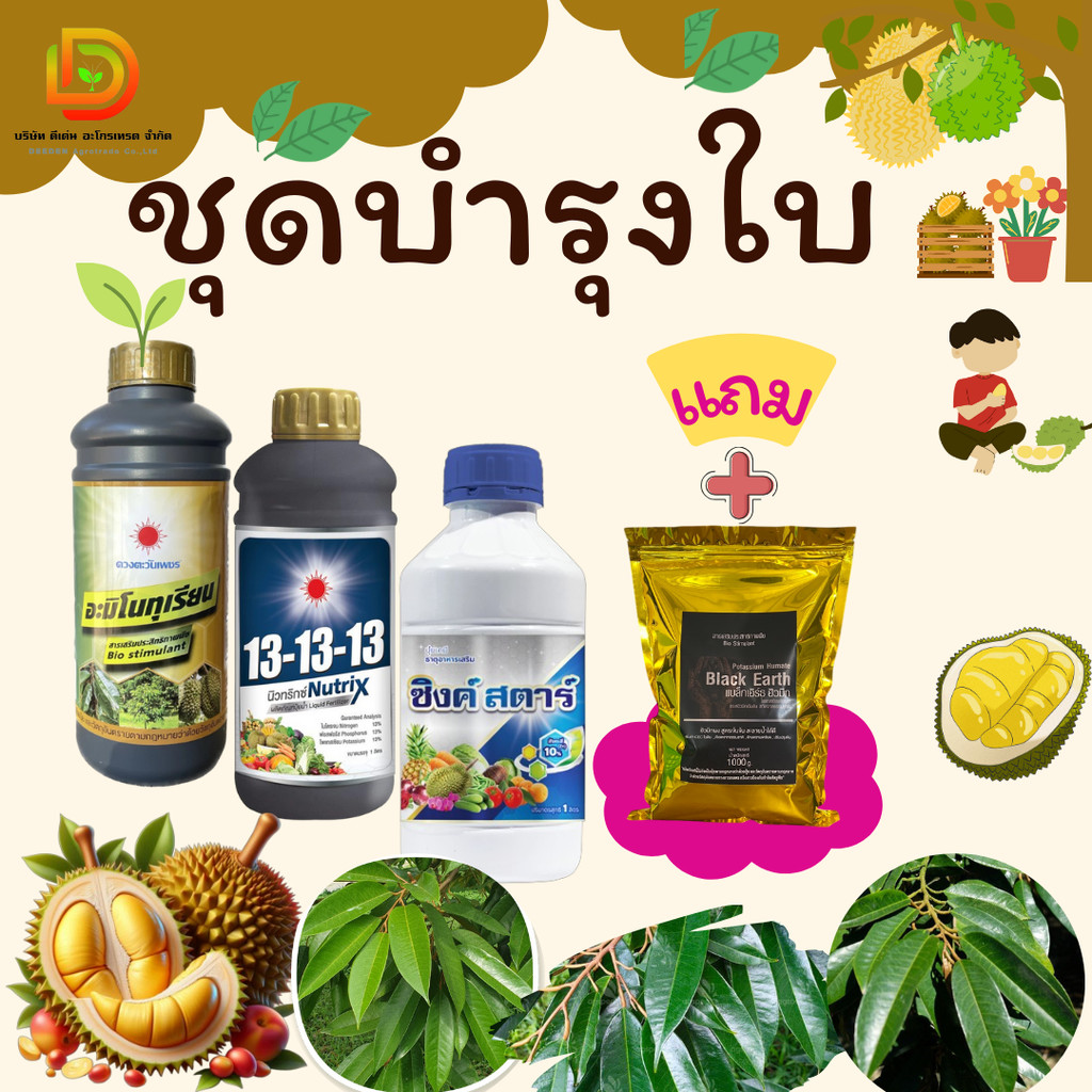 #ชุดบำรุงใบ ขยายขนาดใบ ทำใบชุดที่ 2-3 (อะมิโนทุเรียน+ซิ้งค์สตาร์+13-13-13+แถม แบล็กเอิร์ท ) #ดวงตะวันเพชร #ชุดขยายขนาดใบ