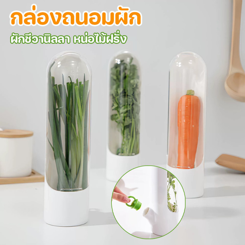COD กล่องถนอมผัก ผักชีวานิลลา หน่อไม้ฝรั่ง ที่เก็บผัก เติมน้ําให้คงความสด