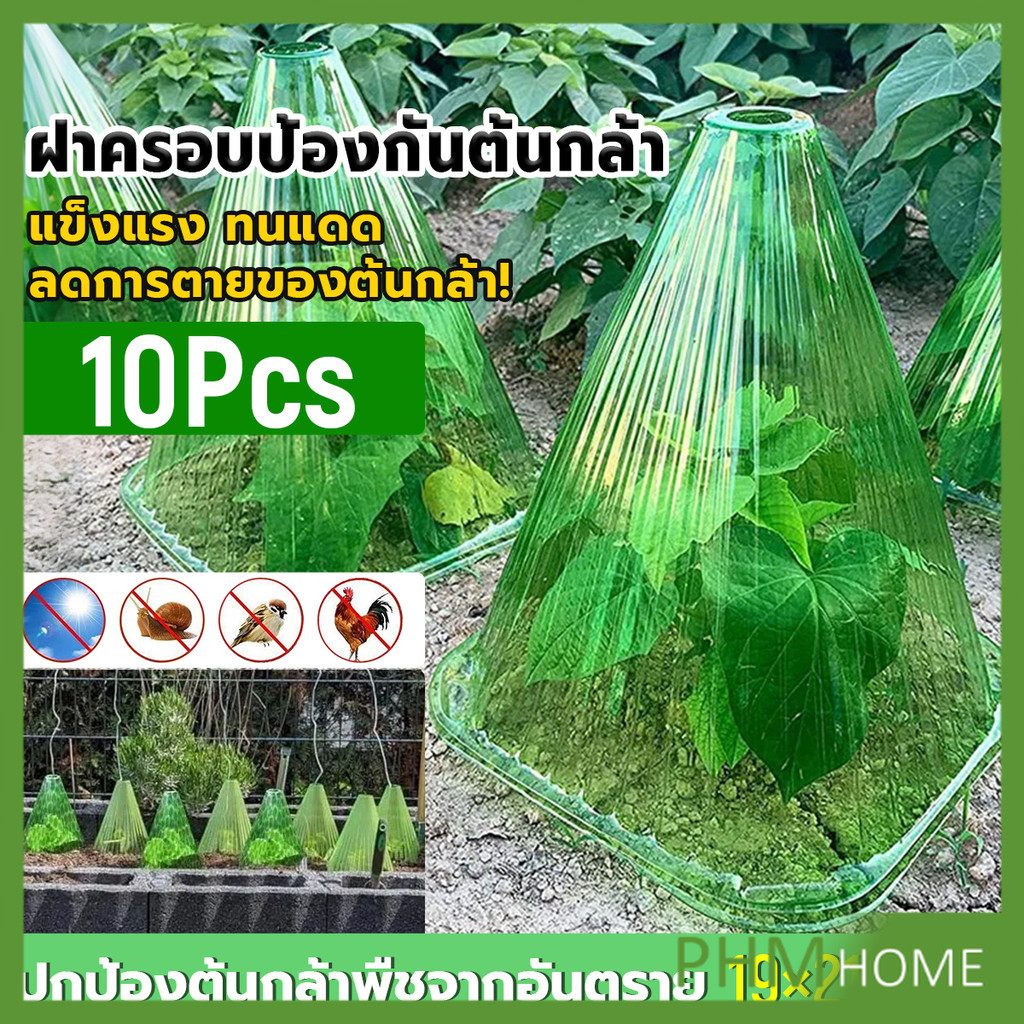 PHM ฝาครอบป้องกันต้นกล้า แบบโปร่งแสง ชุด 10 ชิ้น ทนแดด กันแมลง นำกลับมาใช้ใหม่ได้ สำหรับปลูกต้นกล้า Plant cover