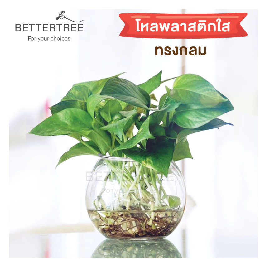 โหลพลาสติก ใส่ต้นไม้ไม้น้ำ เลี้ยงปลาได้