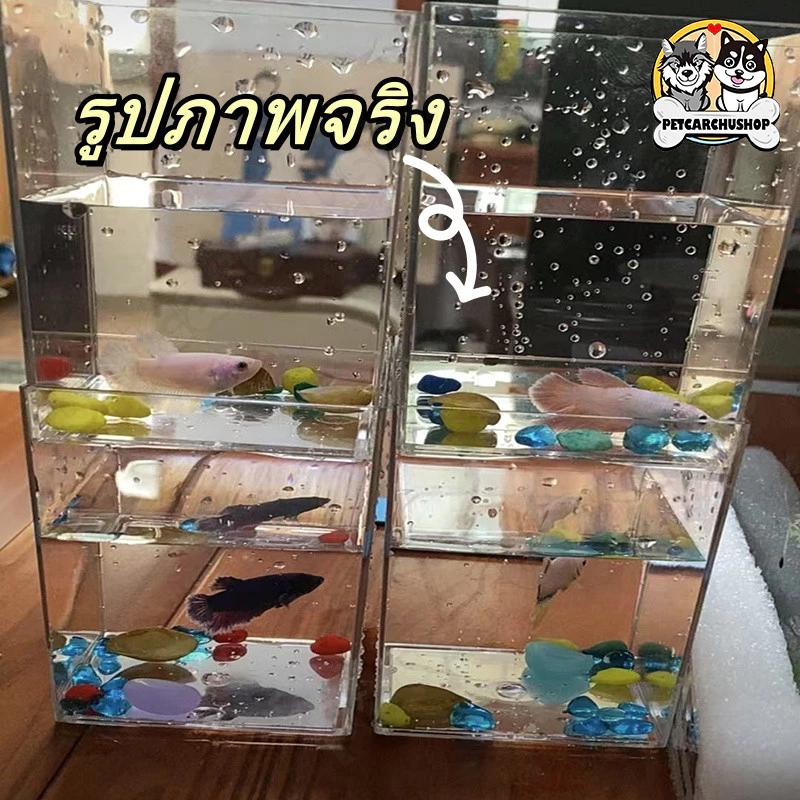 **🐠 ตู้ปลา ตู้ปลาเล็ก ตู้ปลากัด ตู้ปลาขนาดเล็ก โหลปลากัด เหมาะสำหรับสัตว์เลี้ยงขนาดเล็กทุกชนิด 🏠✨** thumbnail 8