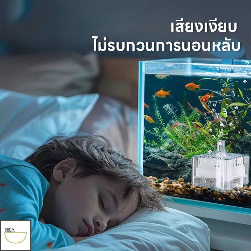 รูปภาพ 7