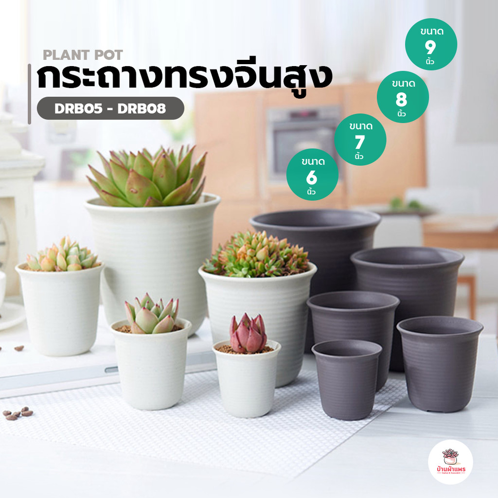 กระถางทรงจีนสูง 6 - 9 นิ้ว #DRB05 - #DRB08 กระถางพลาสติก แคคตัส กระบองเพชร ไม้อวบน้ำ Cactus&Succulent